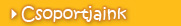 Csoportjaink
