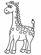 Zsiráf