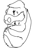 Kutya