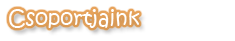 Csoportjaink