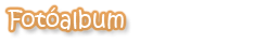 Csoportjaink